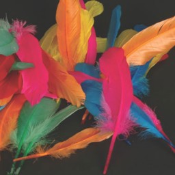 50 plumas de indio 6 colores Niefenver 0900208